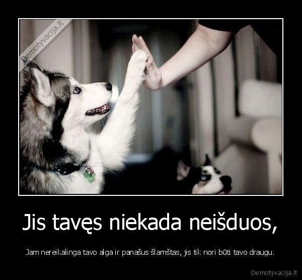 Jis tavęs niekada neišduos,