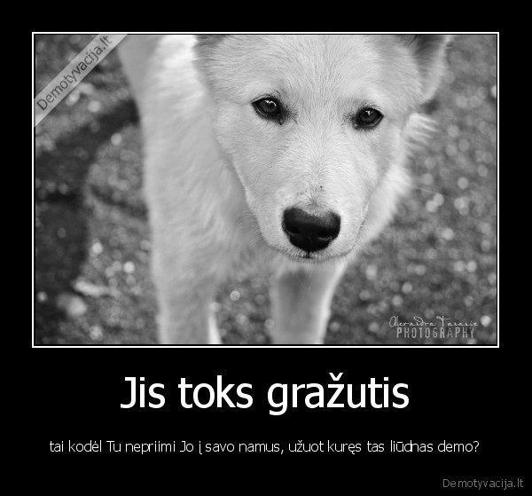 nusibodot, graudziom, demo