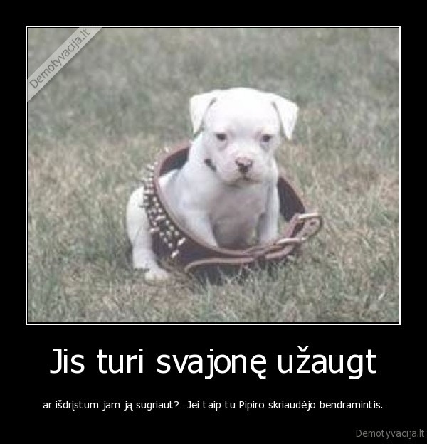 Jis turi svajonę užaugt