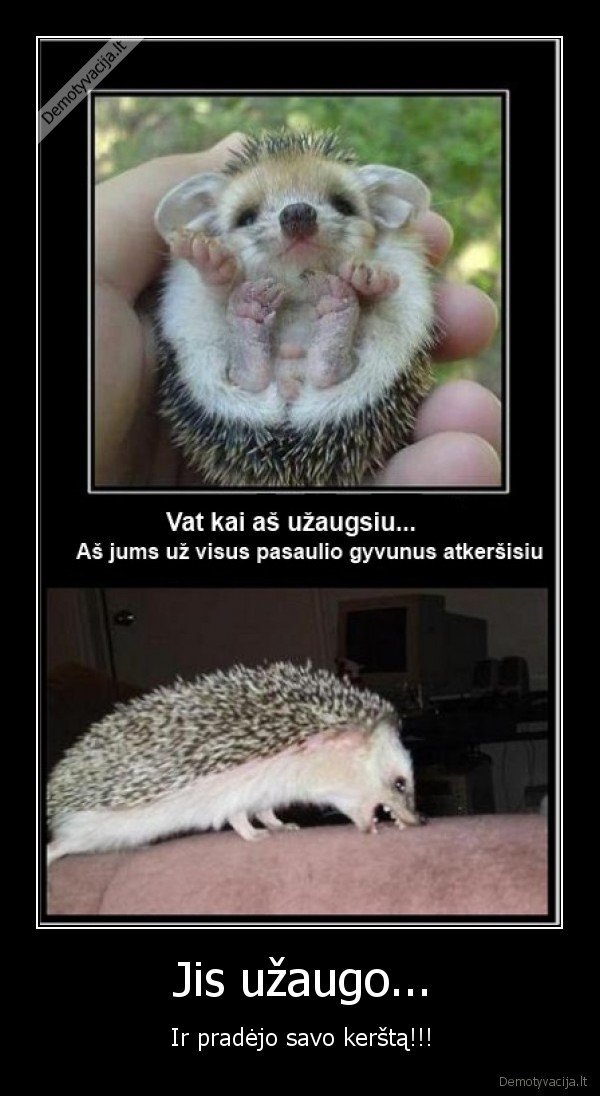 eziukas,kerstas,skauda