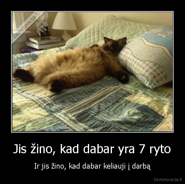 Jis žino, kad dabar yra 7 ryto