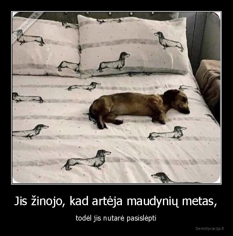 taksas,slepiasi,kamufliazas