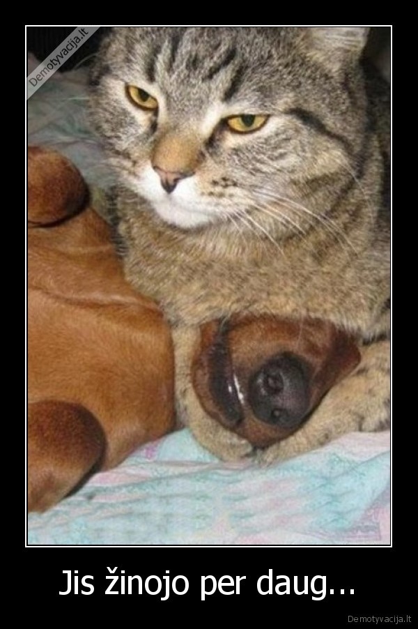 Jis žinojo per daug...