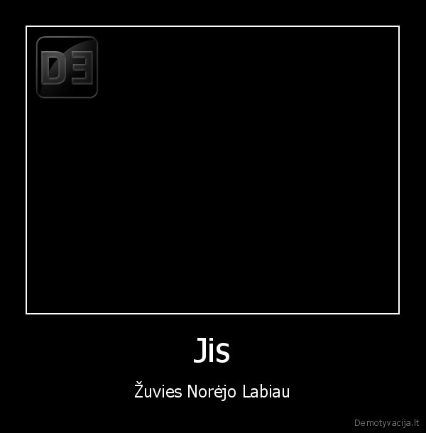 ruonis, zuvis, zvejai, gyvunai