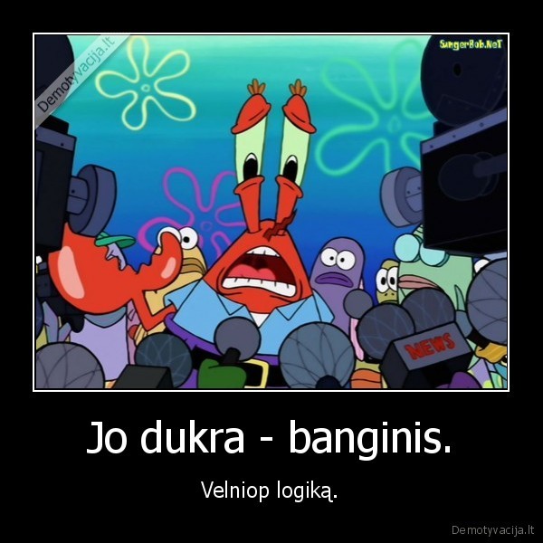 logika,krabas,banginis,animacija