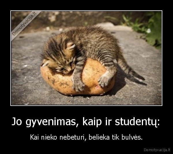 Jo gyvenimas, kaip ir studentų: