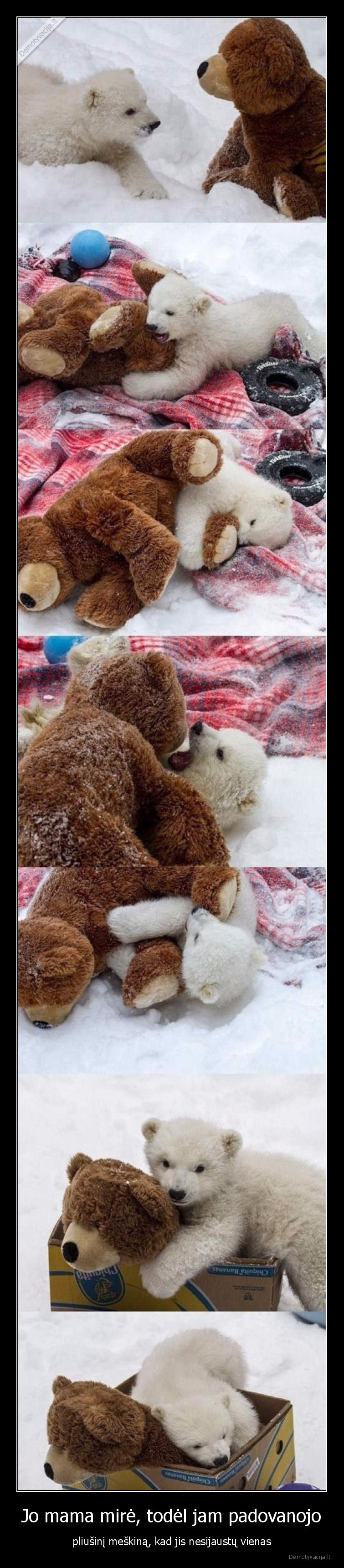 miela,meskinas,meska,zaislas