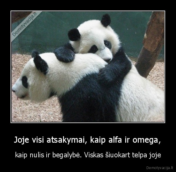 panda,laikrodininkas,meile