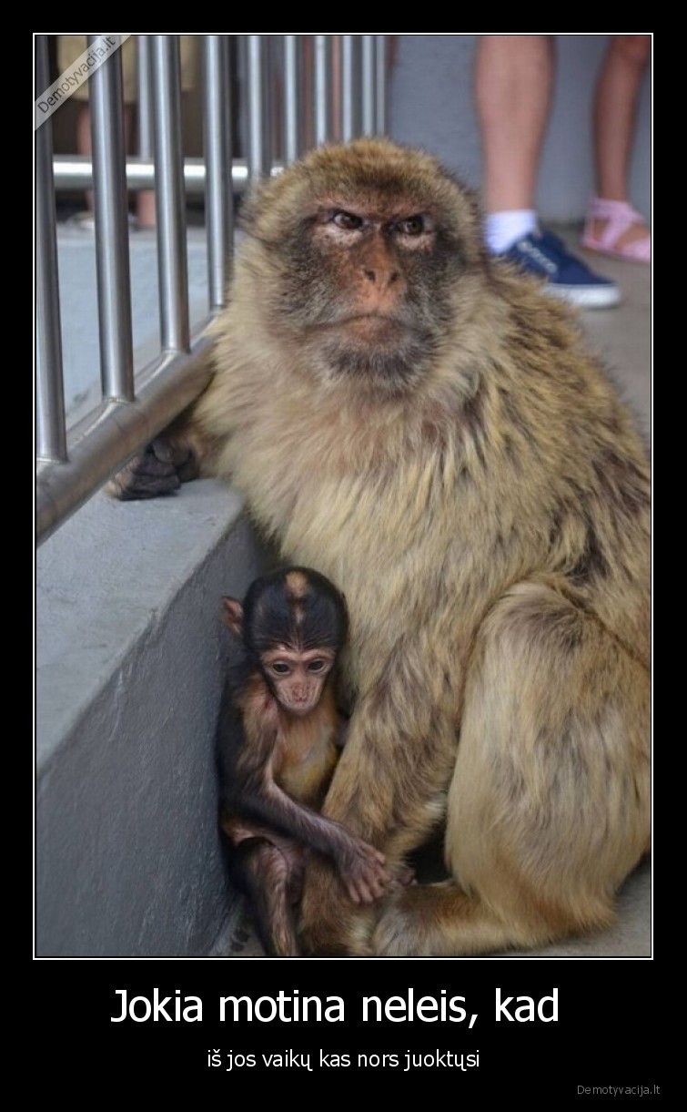 motina,instinktai,neleis,juoktis,is,vaiku