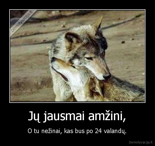 Jų jausmai amžini,