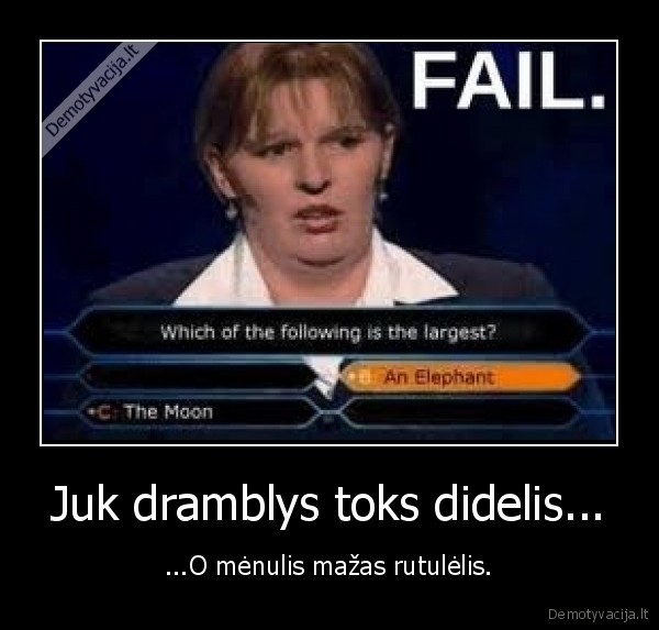 Juk dramblys toks didelis...