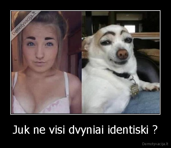 Juk ne visi dvyniai identiski ?