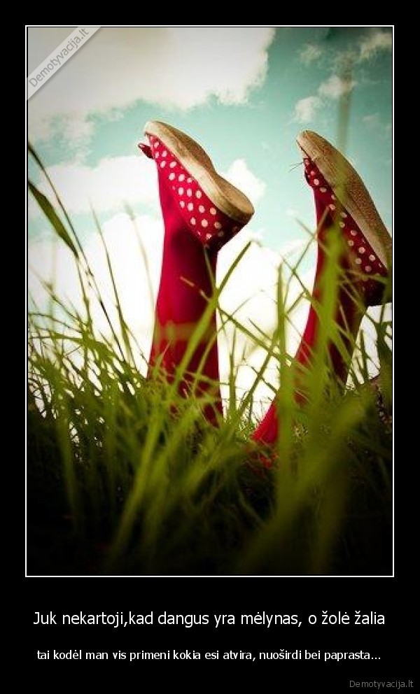 Juk nekartoji,kad dangus yra mėlynas, o žolė žalia