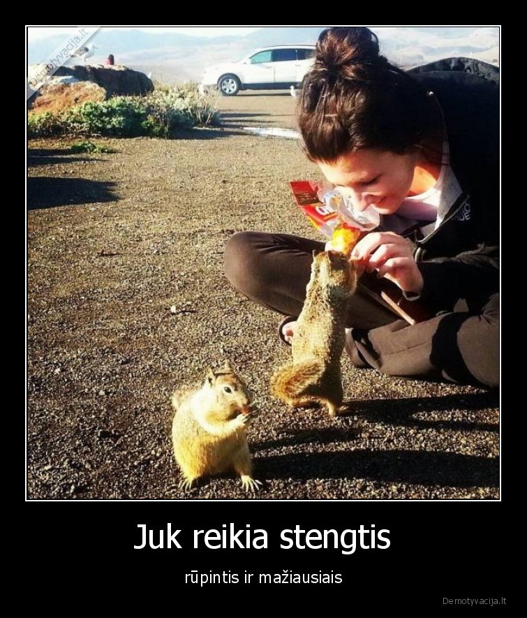 rupintis,maitina,voveres