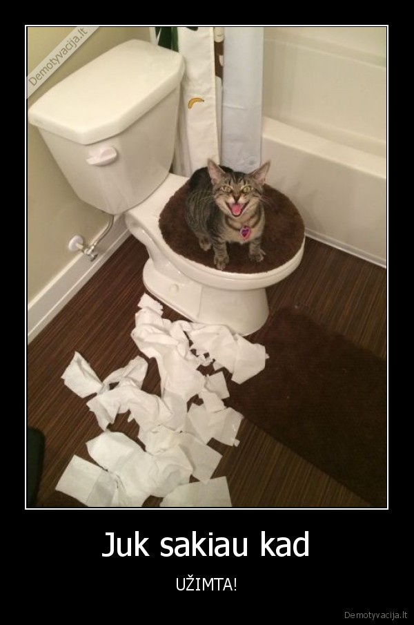 katinas,tualetas,tualetinis, popierius