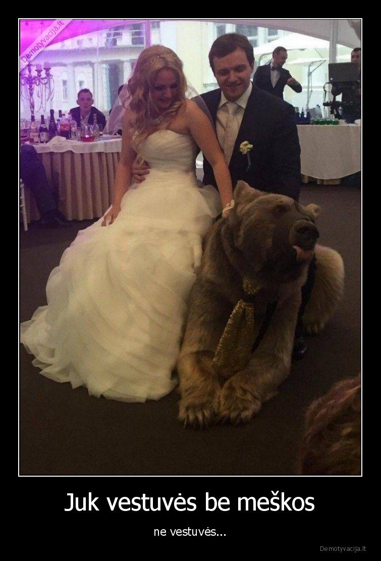 vestuves,meska,o,kam,ji