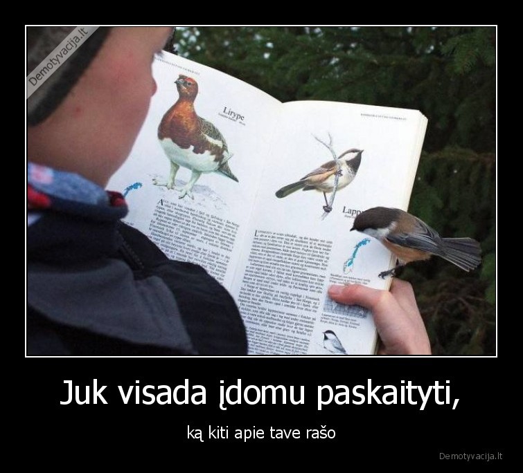 ka,raso,kiti,apie,tave,paukstelis