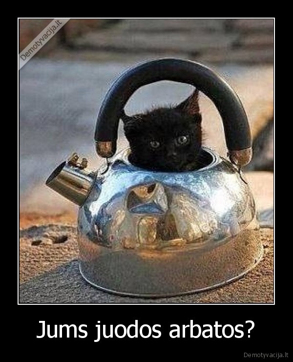 katinas,arbata,juoda