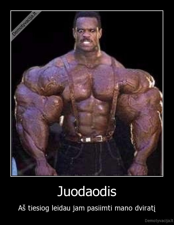 juodaodis, dviratis, vagyste