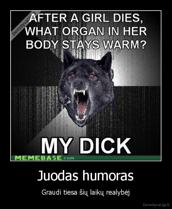 amsterdame, gruda, visi