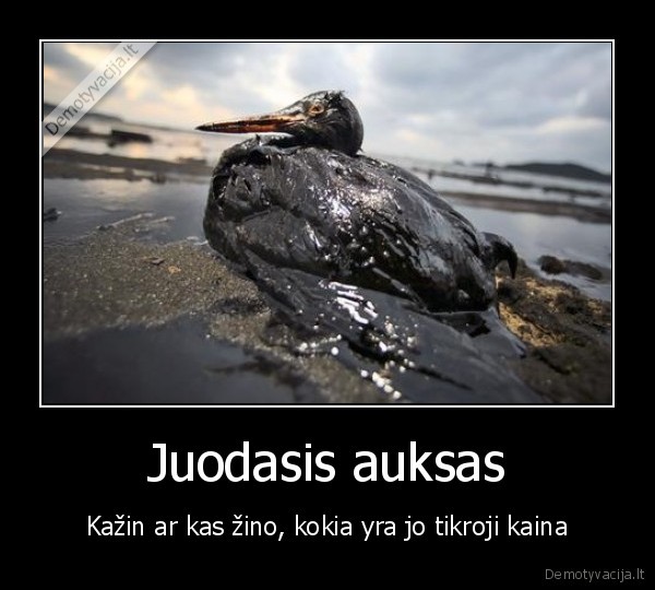 nafta,kuras,kaina,gamta,istekliai,gyvunai,nuotekis