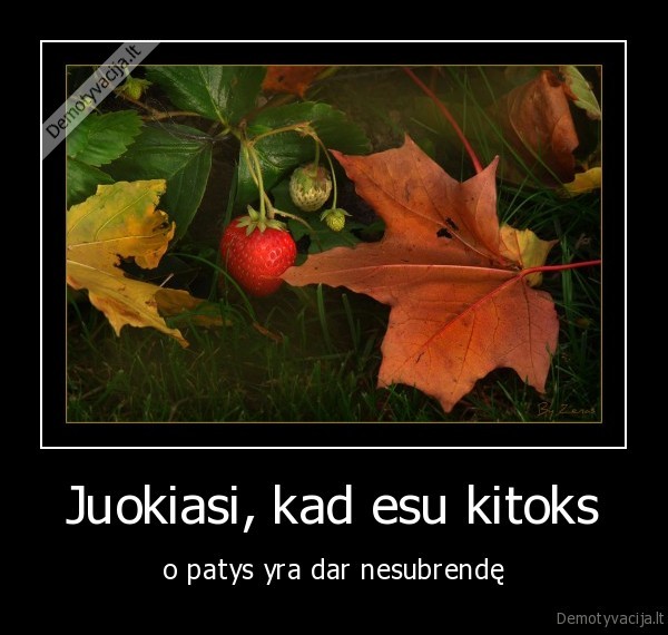 braske,protas,issilavinimas,suvokimas