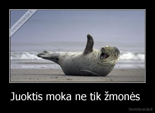 juokas,gyvunai,juokis,zmogus