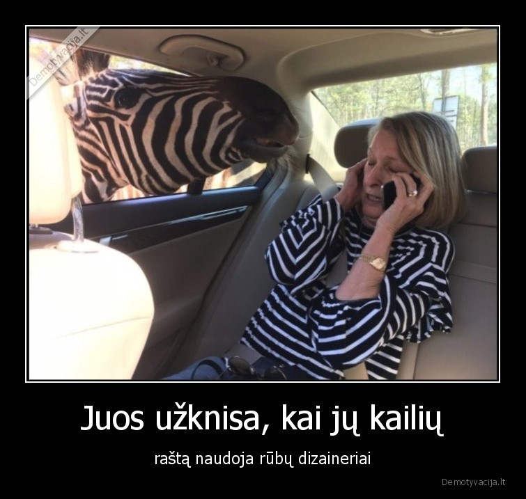 zebrai,rubai,rastas