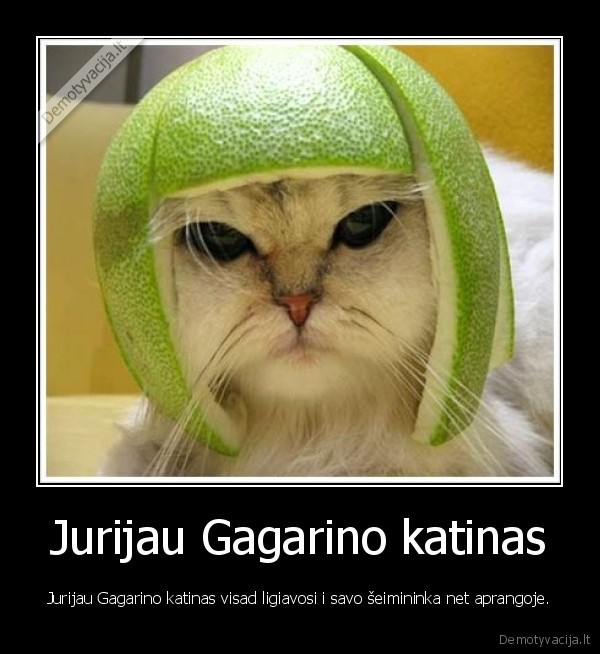 Jurijau Gagarino katinas