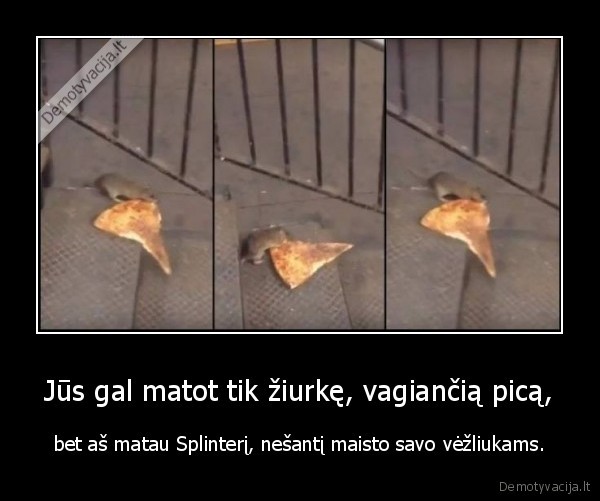 ziurke,pica,vezliukai, nindzes