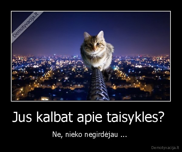 Jus kalbat apie taisykles? 