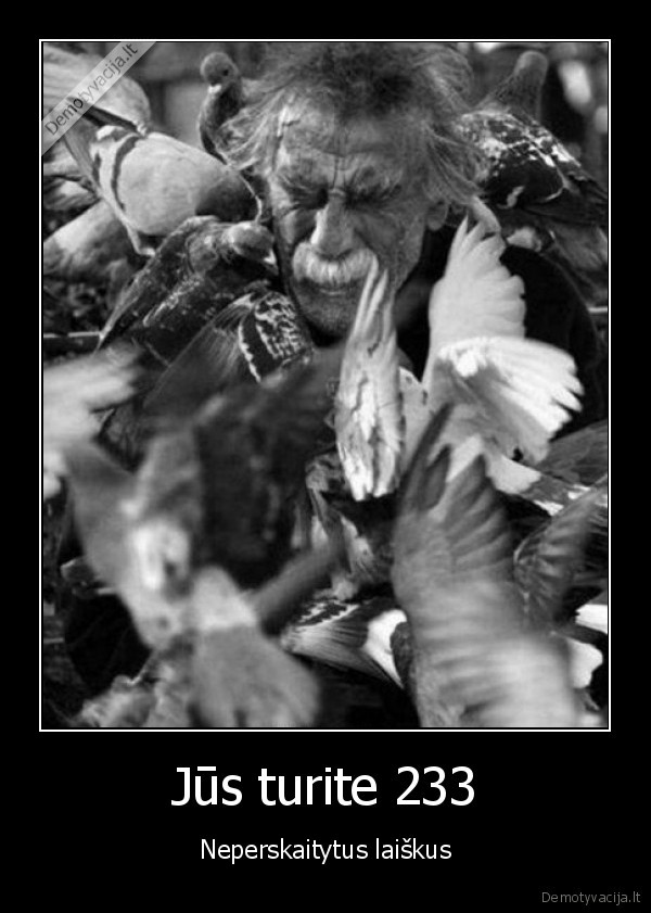 Jūs turite 233
