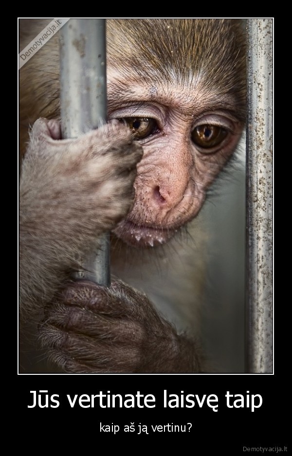 Jūs vertinate laisvę taip