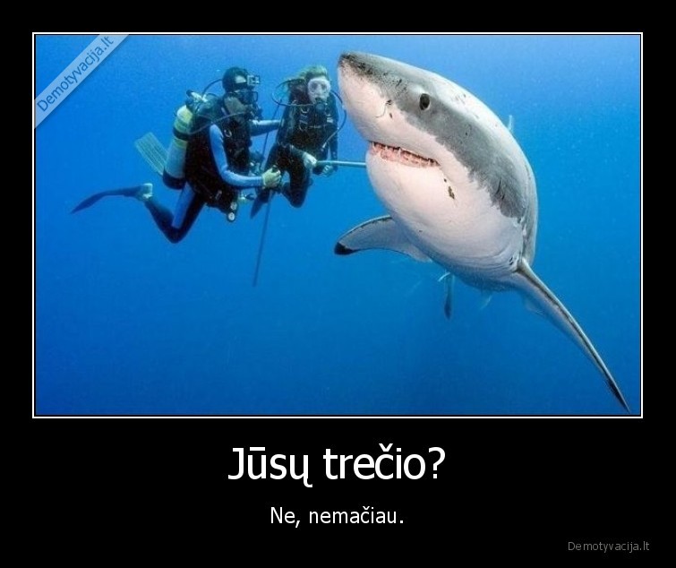 ryklys,trecias,kur,nezinau