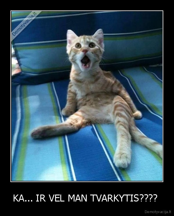 KA... IR VEL MAN TVARKYTIS???? 