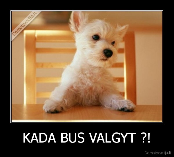 KADA BUS VALGYT ?!