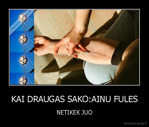 KAI DRAUGAS SAKO:AINU FULES