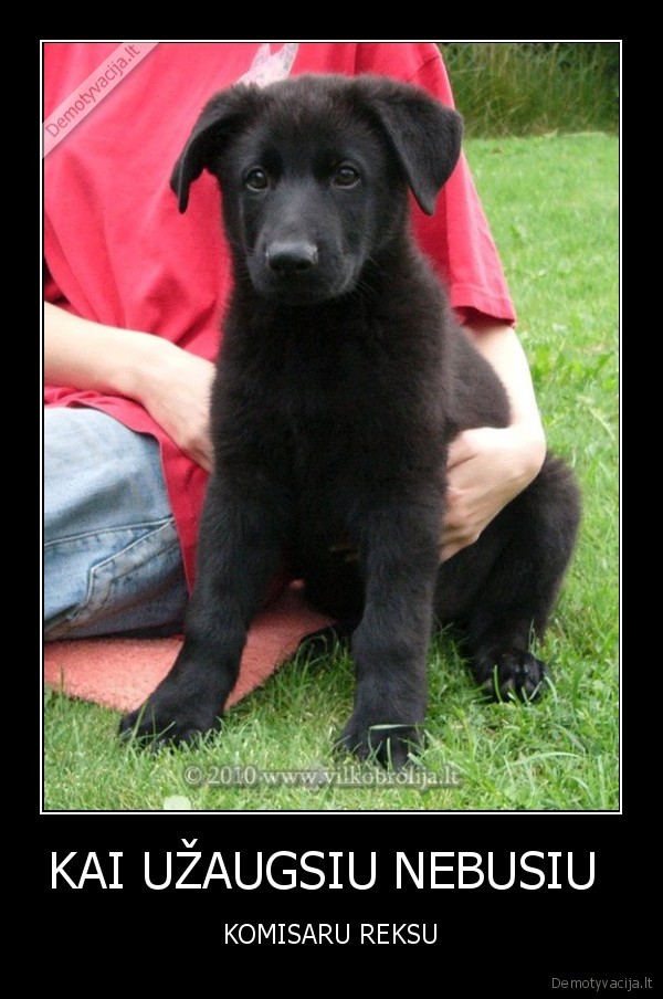 KAI UŽAUGSIU NEBUSIU 