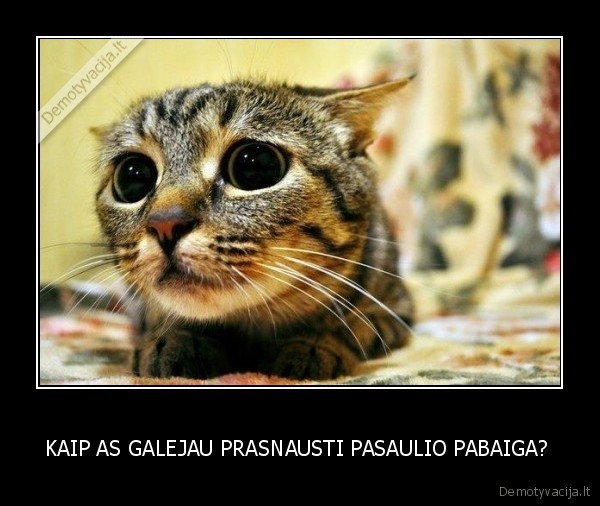 KAIP AS GALEJAU PRASNAUSTI PASAULIO PABAIGA? 