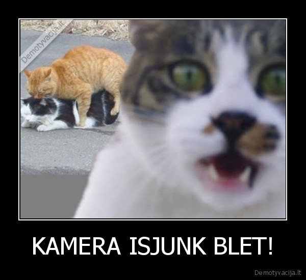 KAMERA ISJUNK BLET!