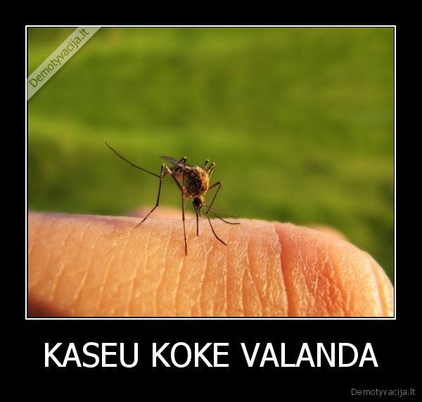 KASEU KOKE VALANDA