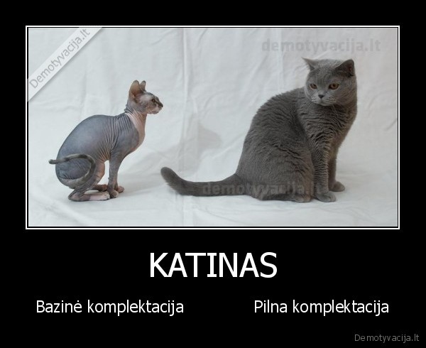 KATINAS