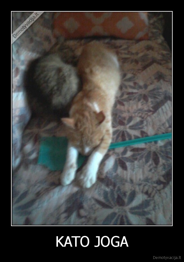 KATO JOGA