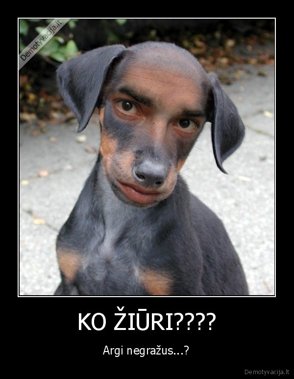 KO ŽIŪRI????