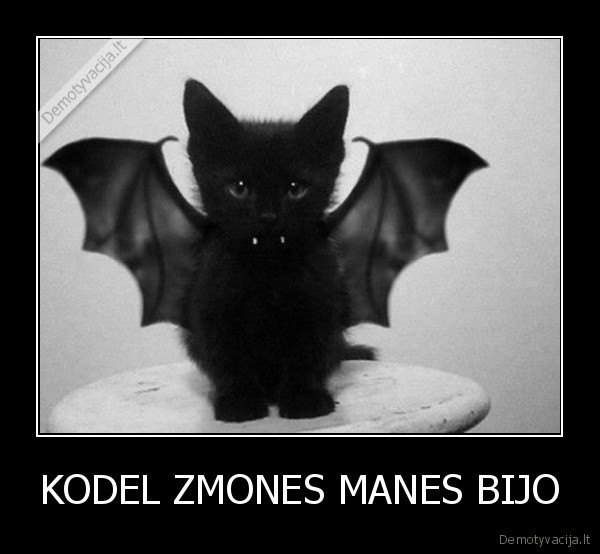 KODEL ZMONES MANES BIJO