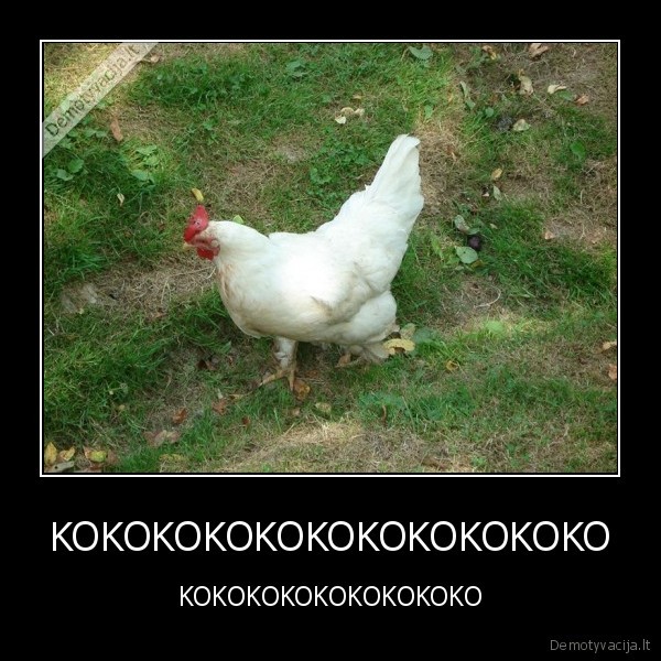 httpwww.demotyvacija.ltnaujausivisihahahahahaha, 1487072.html