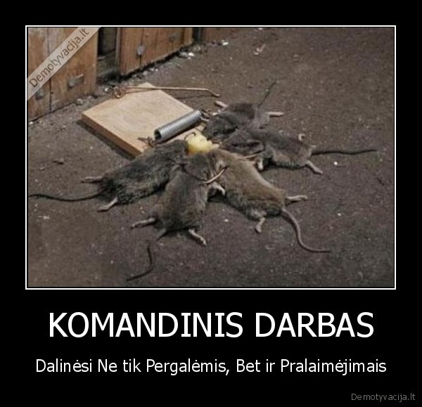 nemokamas, suris, tik, spastuose