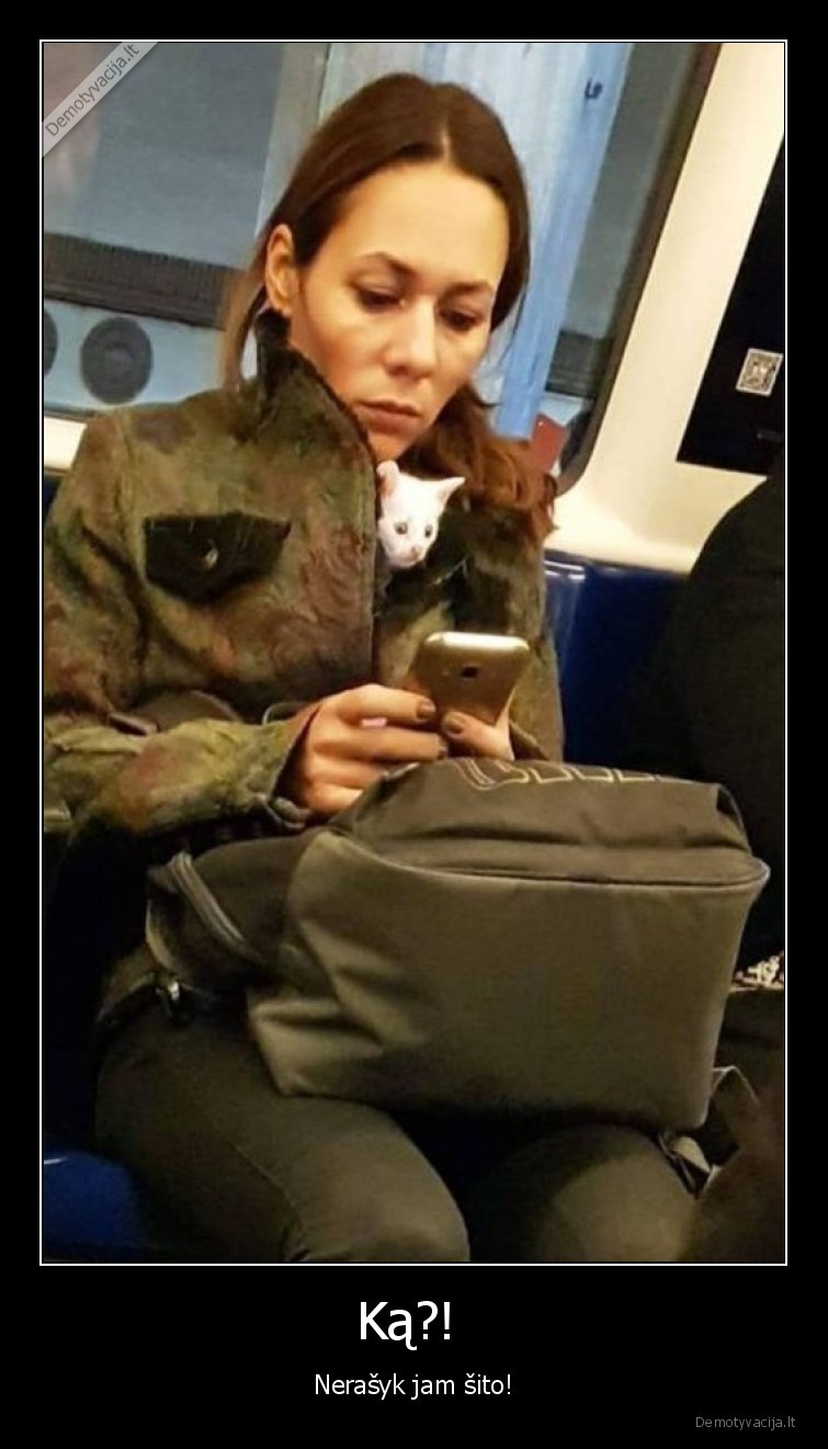 katinelis,padeda,rasyti