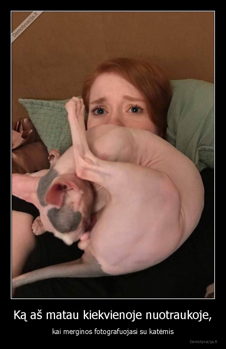 kates,katinai,augintiniai,gyvunai,asmenukes, su, katemis
