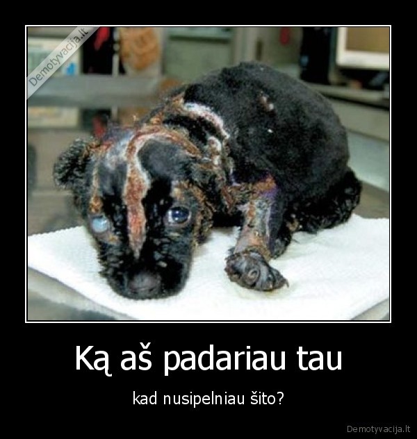 Ką aš padariau tau